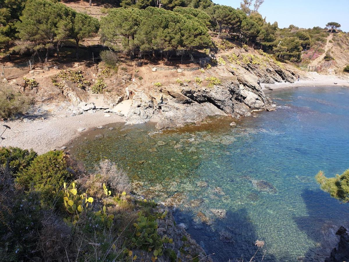 Villa Mas Del Roumany Port Vendres Esterno foto