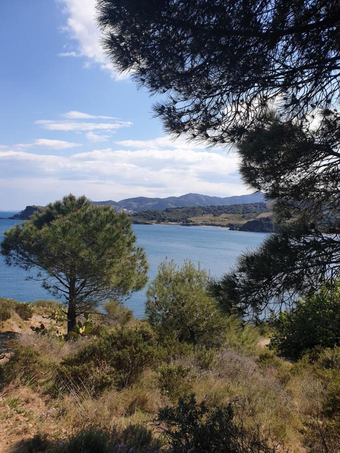 Villa Mas Del Roumany Port Vendres Esterno foto