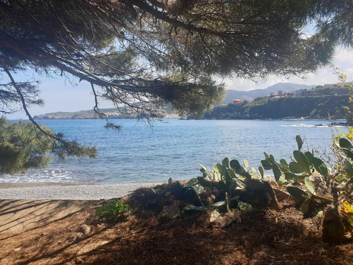 Villa Mas Del Roumany Port Vendres Esterno foto