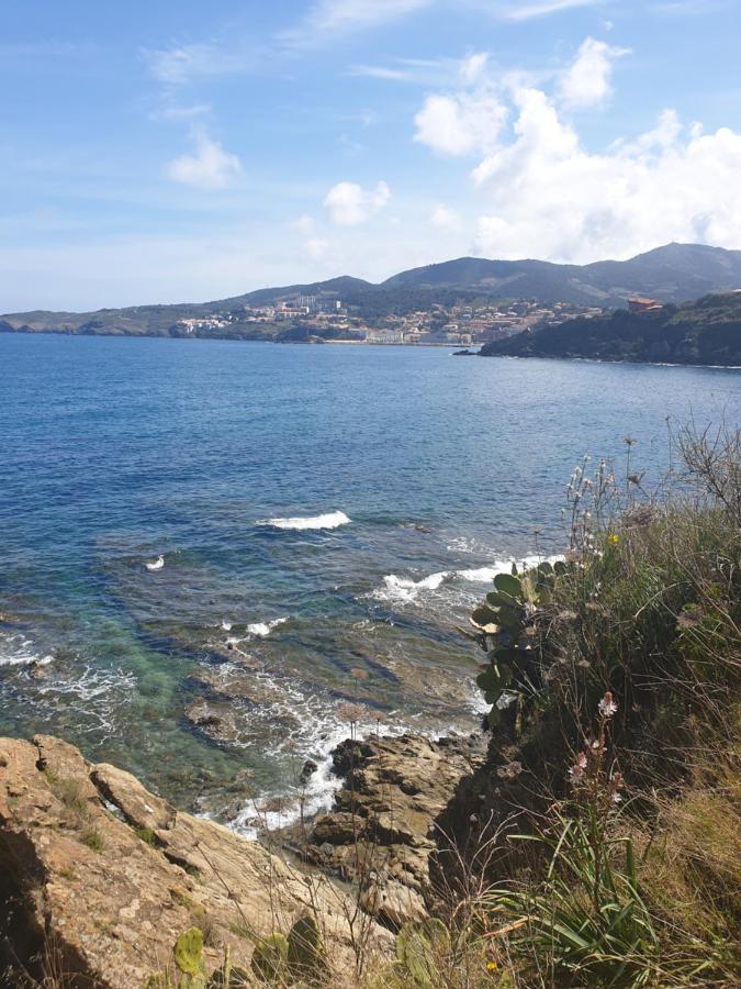 Villa Mas Del Roumany Port Vendres Esterno foto