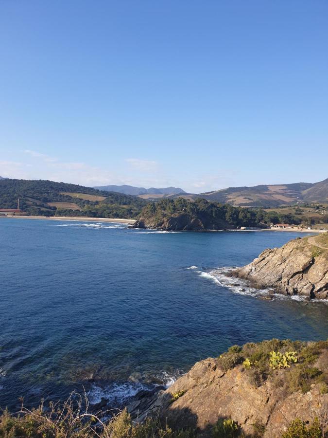 Villa Mas Del Roumany Port Vendres Esterno foto
