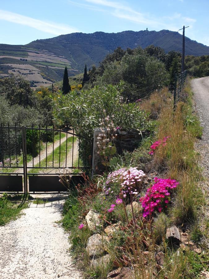 Villa Mas Del Roumany Port Vendres Esterno foto