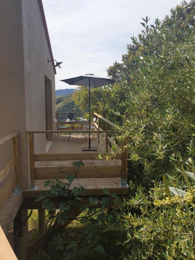 Villa Mas Del Roumany Port Vendres Esterno foto