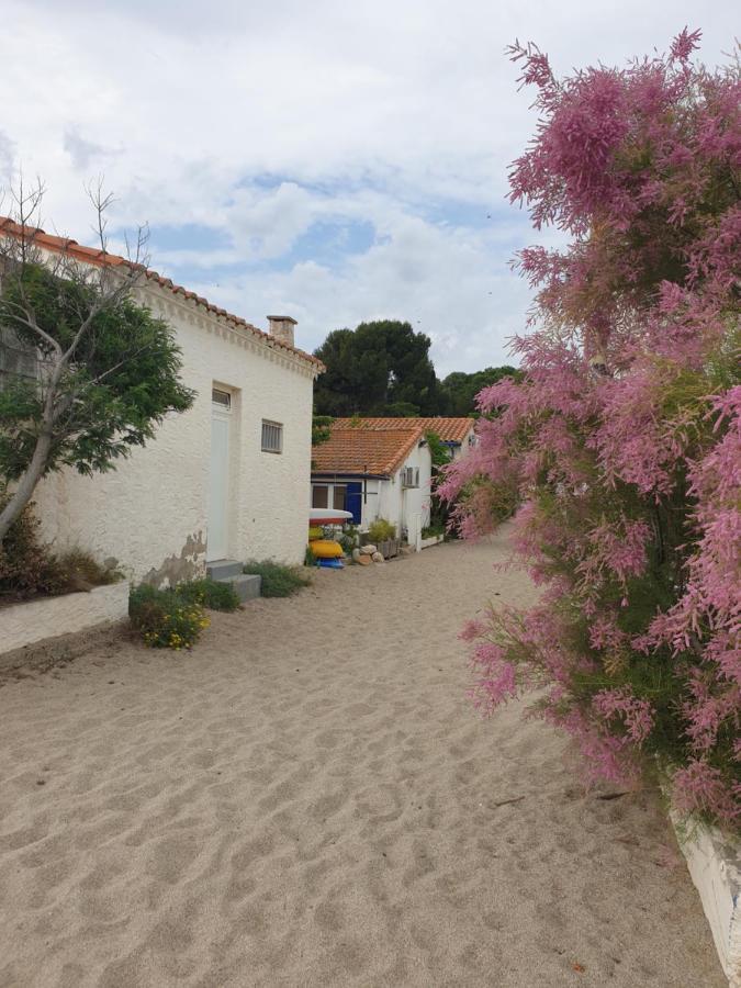 Villa Mas Del Roumany Port Vendres Esterno foto